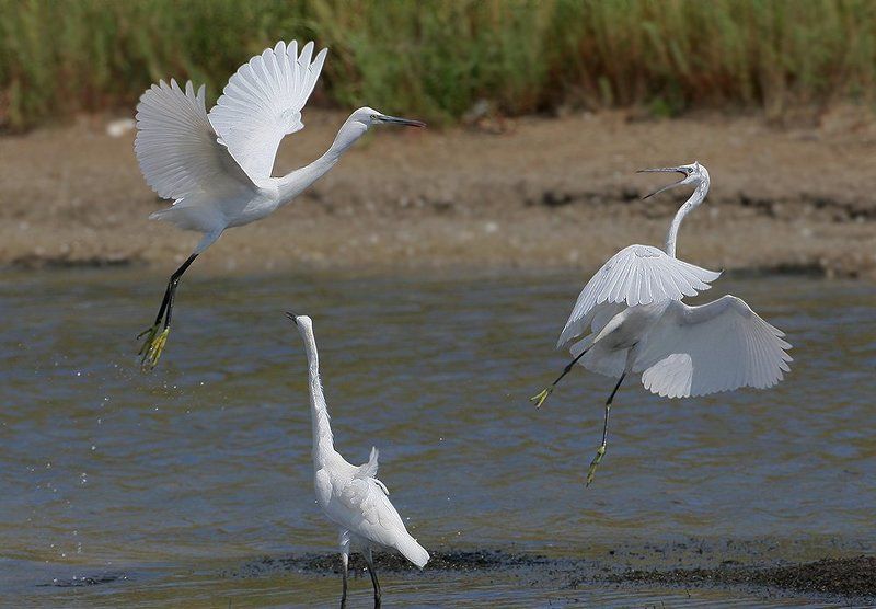 Изгнание фото превью