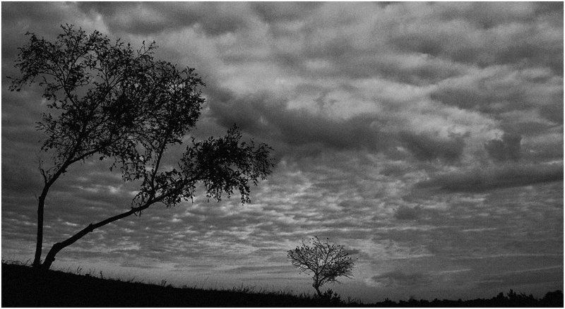 Трудный разговор фото превью