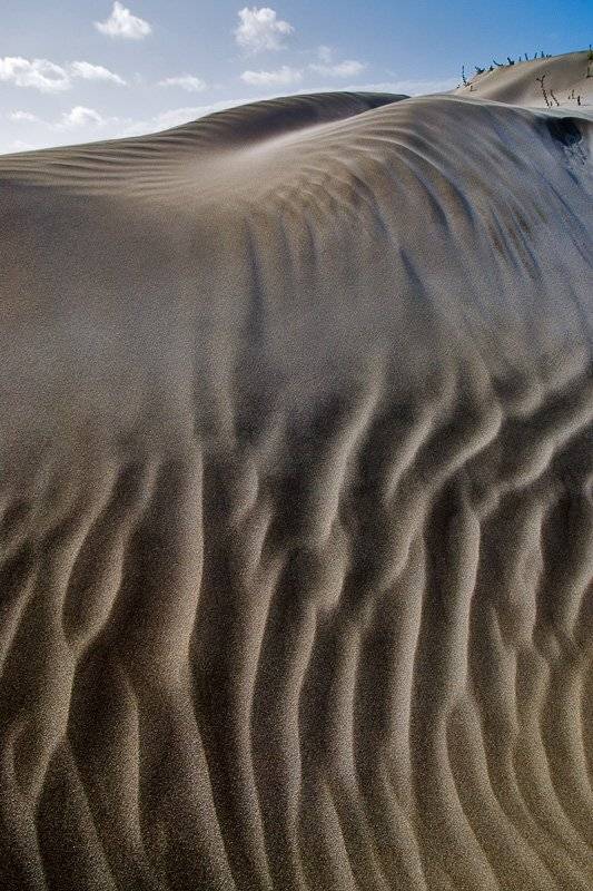 испания,лансароте,фамара,пески,дюны,хребет, Александр Константинов