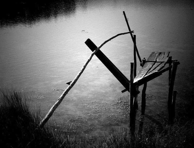 ### фото превью