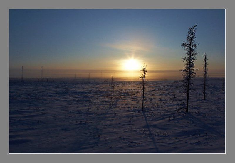 Длинные тени короткого дня фото превью