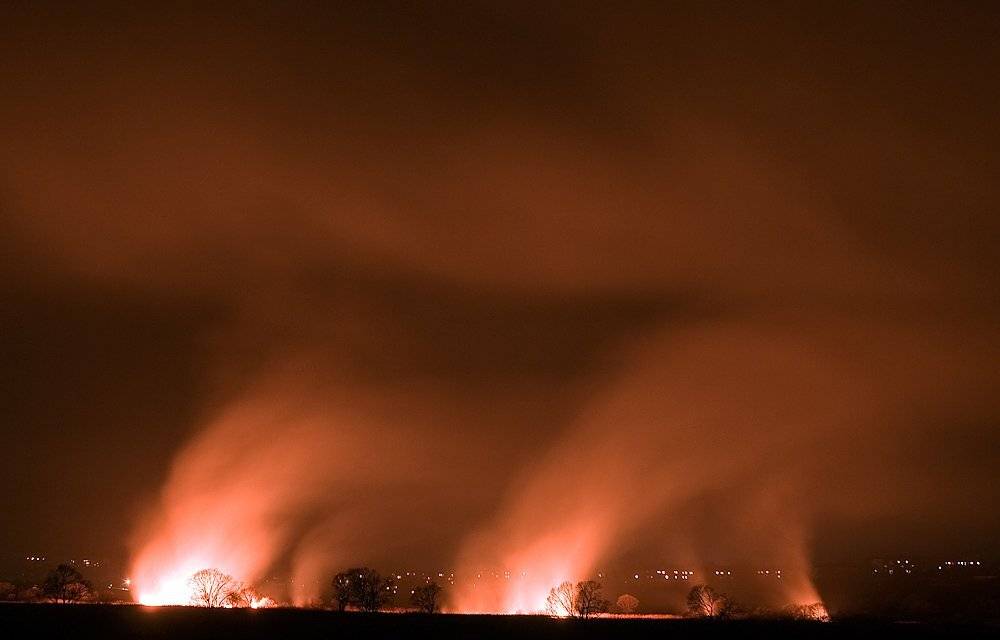 раздольное, пожар, лес, ночь, Дмитрий Корнилов