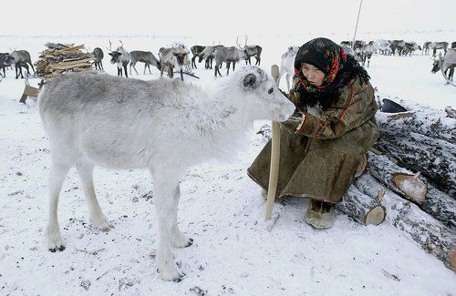 бабушка и авка