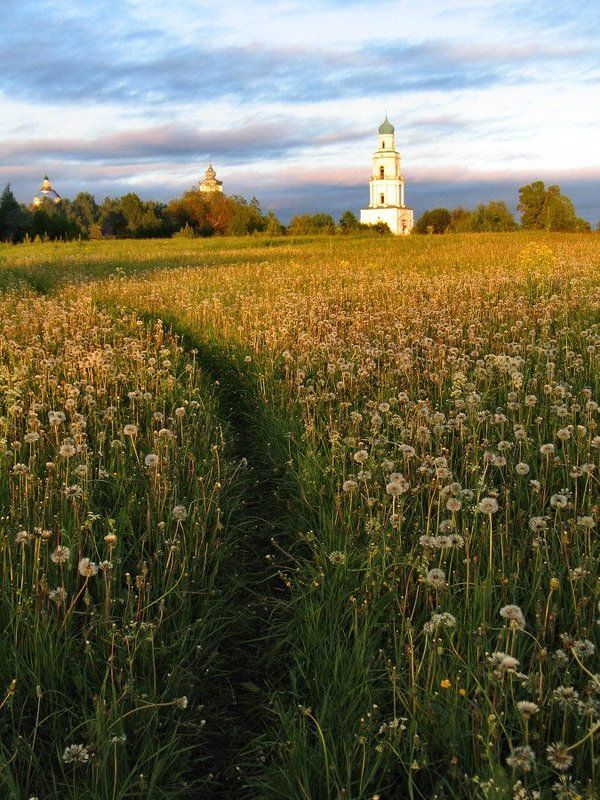 Отцвели уж давно... фото превью