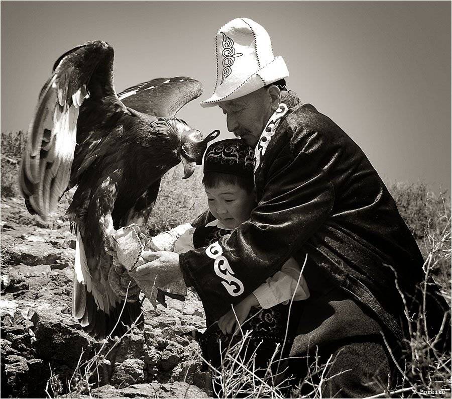 беркутчи, Вадько