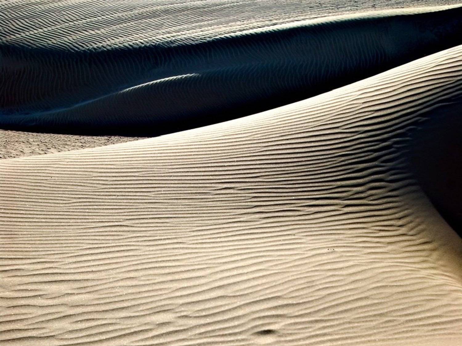 испания,лансароте,фамара,пески,дюны, Александр Константинов