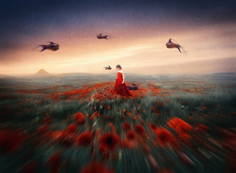 рыбы, сны, праздник, фантасмагория Air Fish Day фото превью