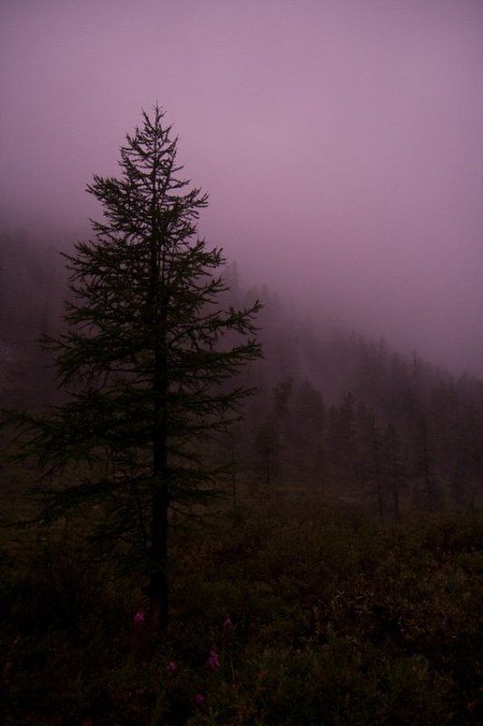 алтай, туман Magenta. No correction фото превью