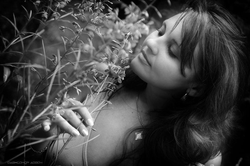 *** фото превью