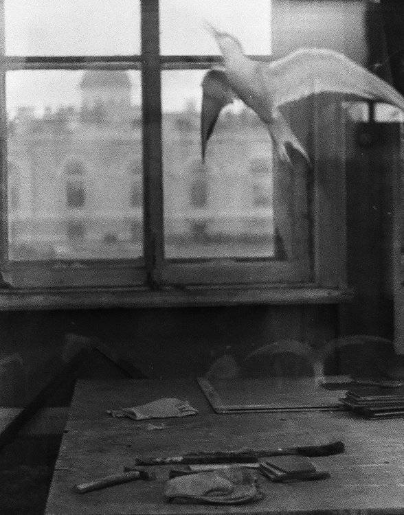 пианино, Deep in Violet