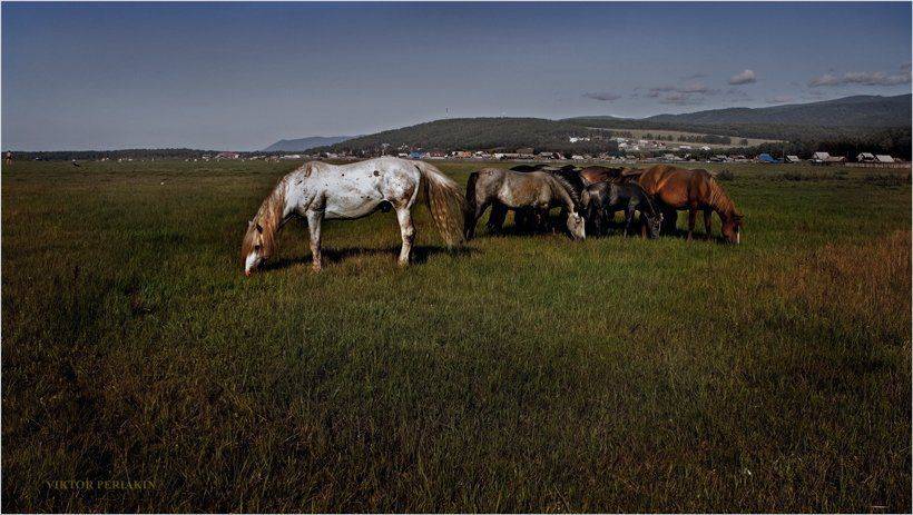 , Виктор Перякин