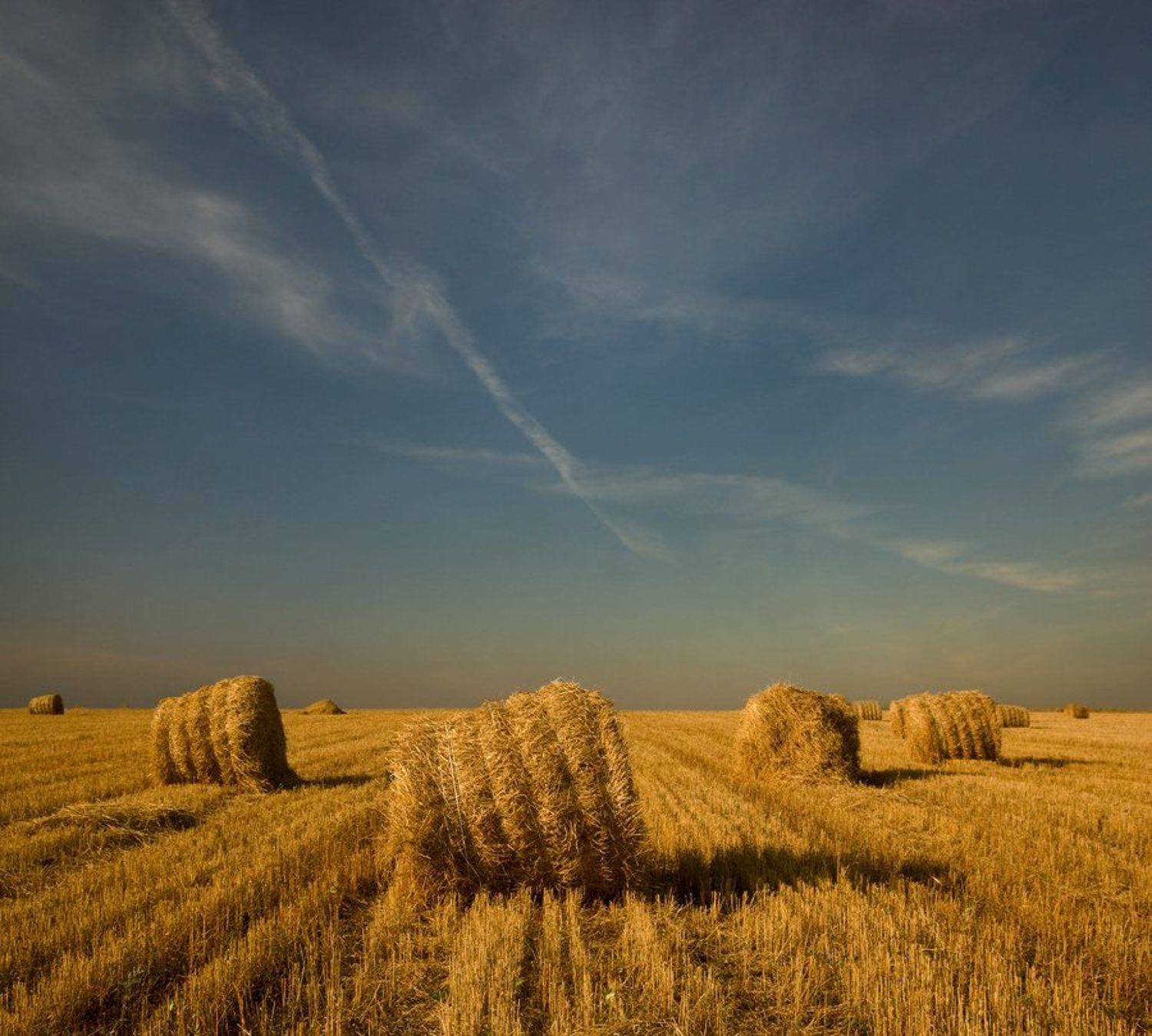 поле, небо, сено, лето, катушки, Александр Дубовицкий