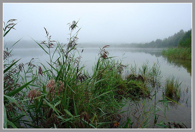 Светлояр. Рассвет фото превью