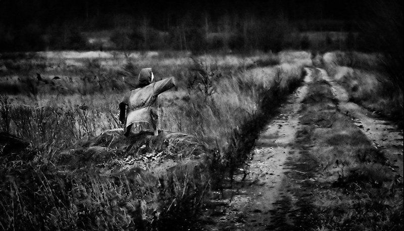 Одна, последняя дорога.... фото превью