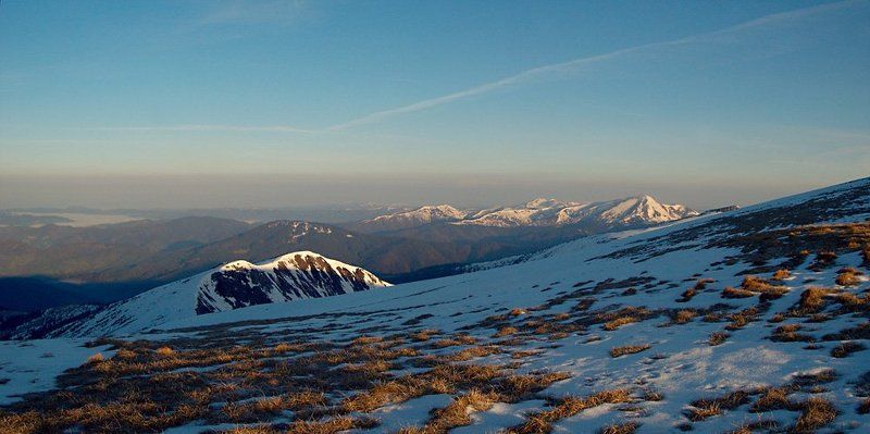 ...утро... фото превью