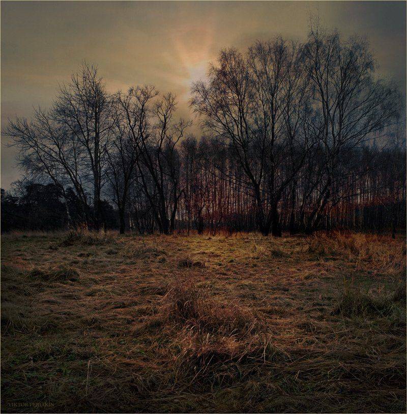 , Виктор Перякин