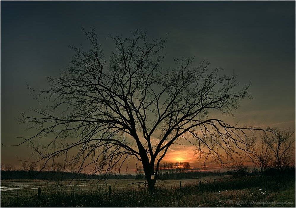 пейзаж, pilgrim, осень, цвета, colors, закат, Pilgrim