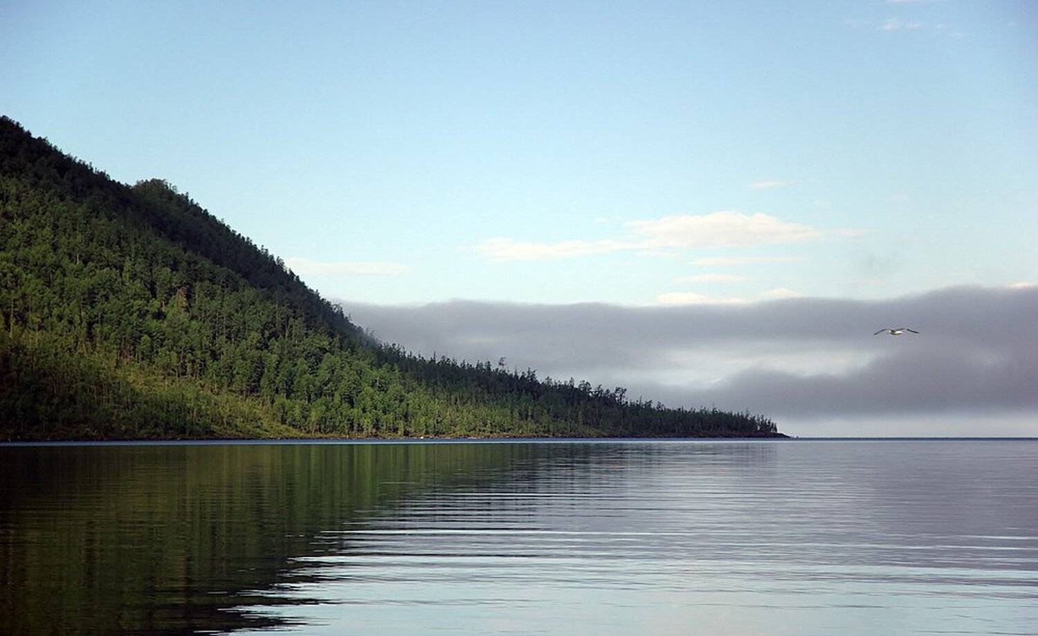 байкал, бухта, аяя, чайка, Ildar