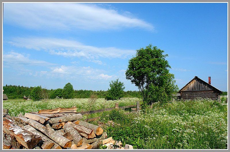 Лето в Зараменье. фото превью