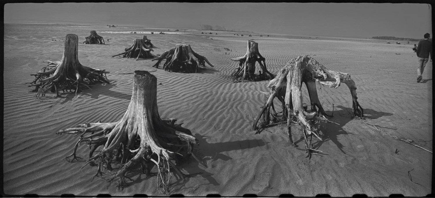 , Pashis Пашис Андрей