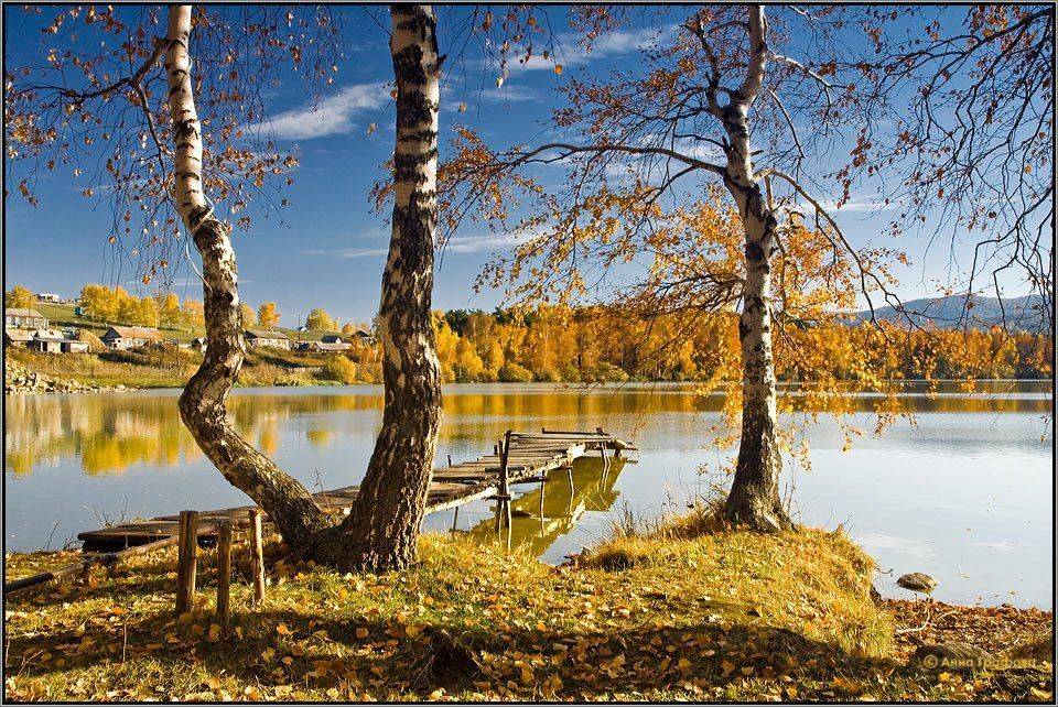 алтай, рудный алтай, колывань, поселок 8 марта, осень, озеро, золото, аня графова, Аня Графова