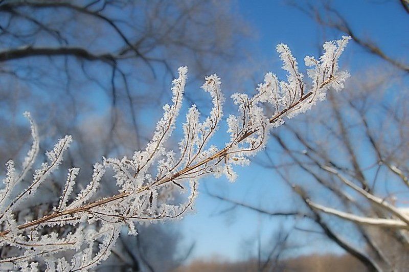 нежность фото превью