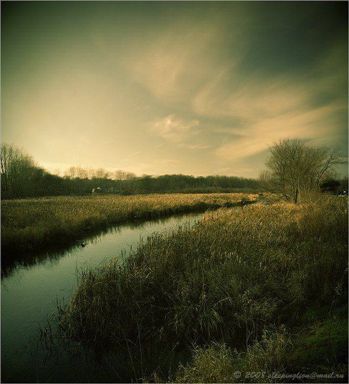 пленка, средний формат, 6х4.5, броника, pilgrim, medium format, bronica etr, Pilgrim