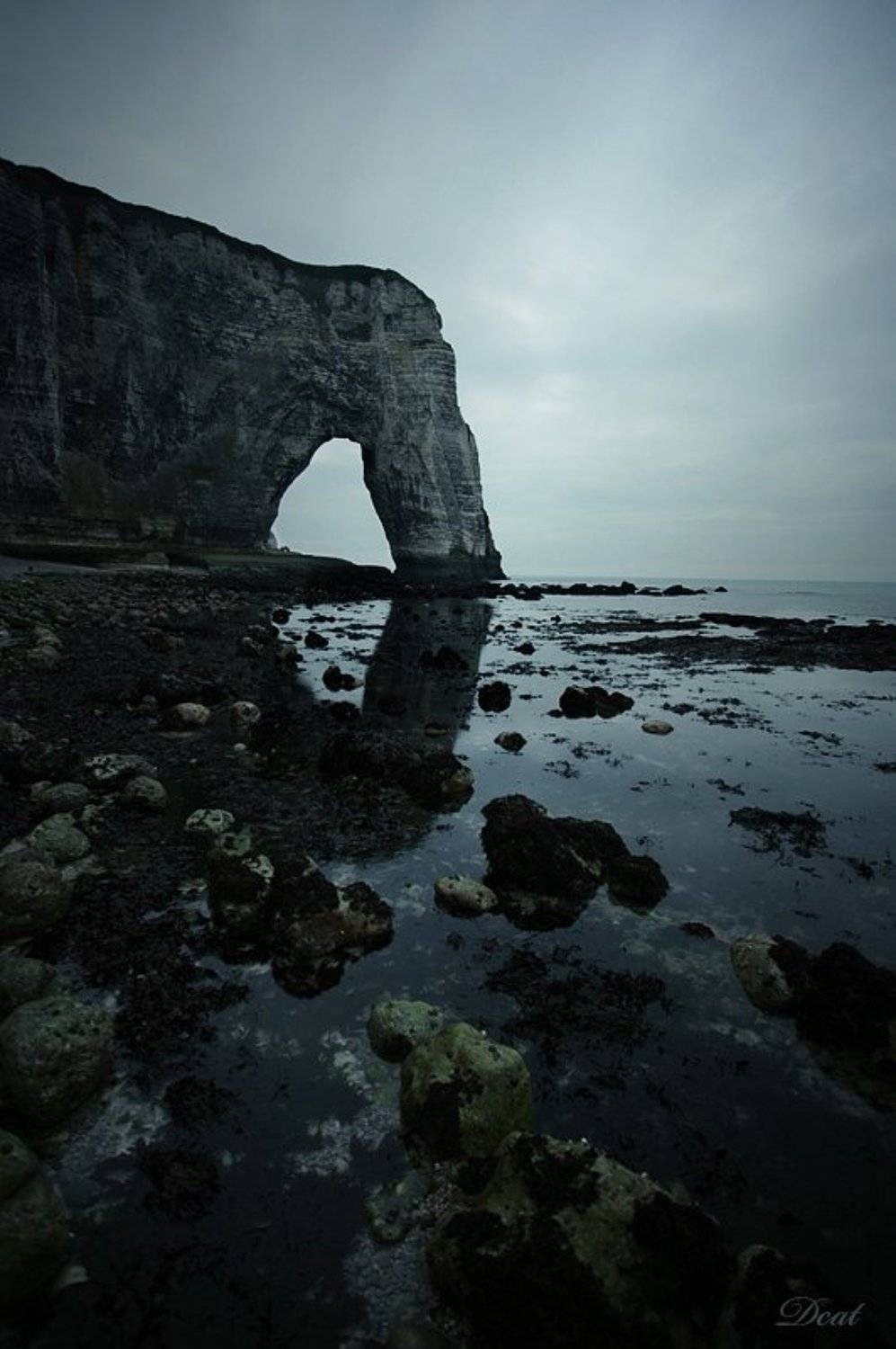 этрета, франция, скала, море, ла-манш, побережье, отлив, слон, Darn Cat