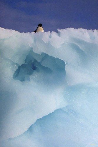 На доминирующей высоте №3