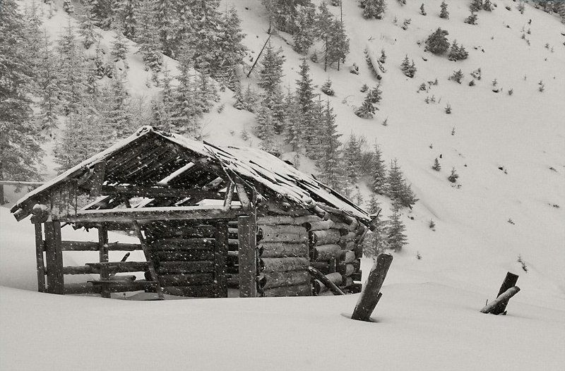 ...в зимнюю пору... фото превью