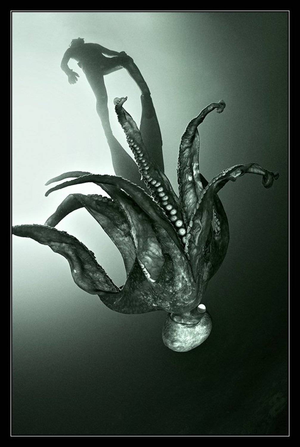 , Марина Кочетова