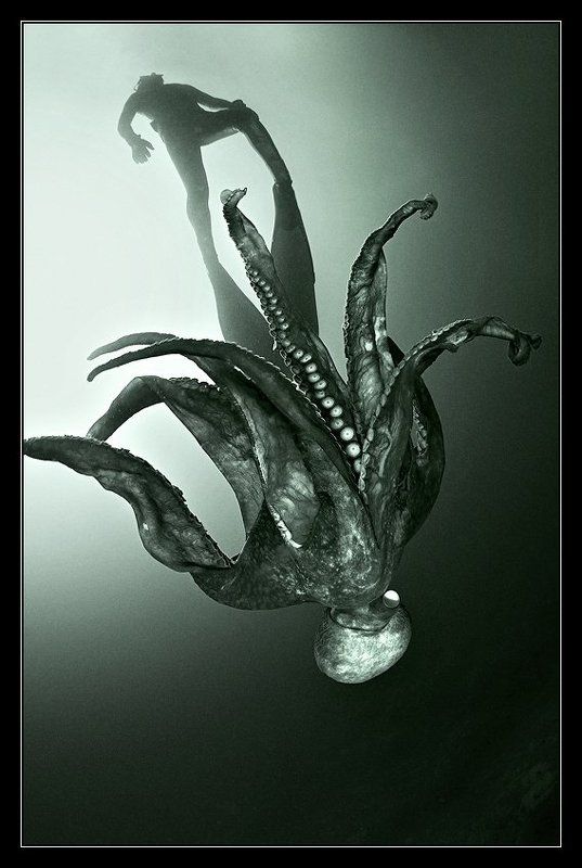 В унисон фото превью