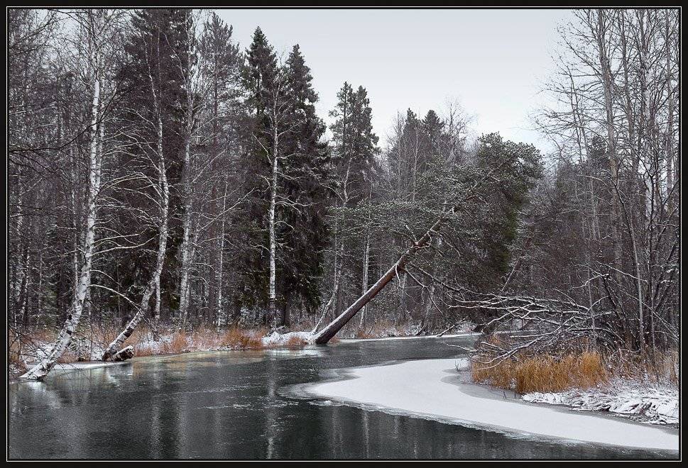 , Зайцев Владимир