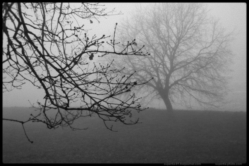 Vitorchiano в ч/б фото превью