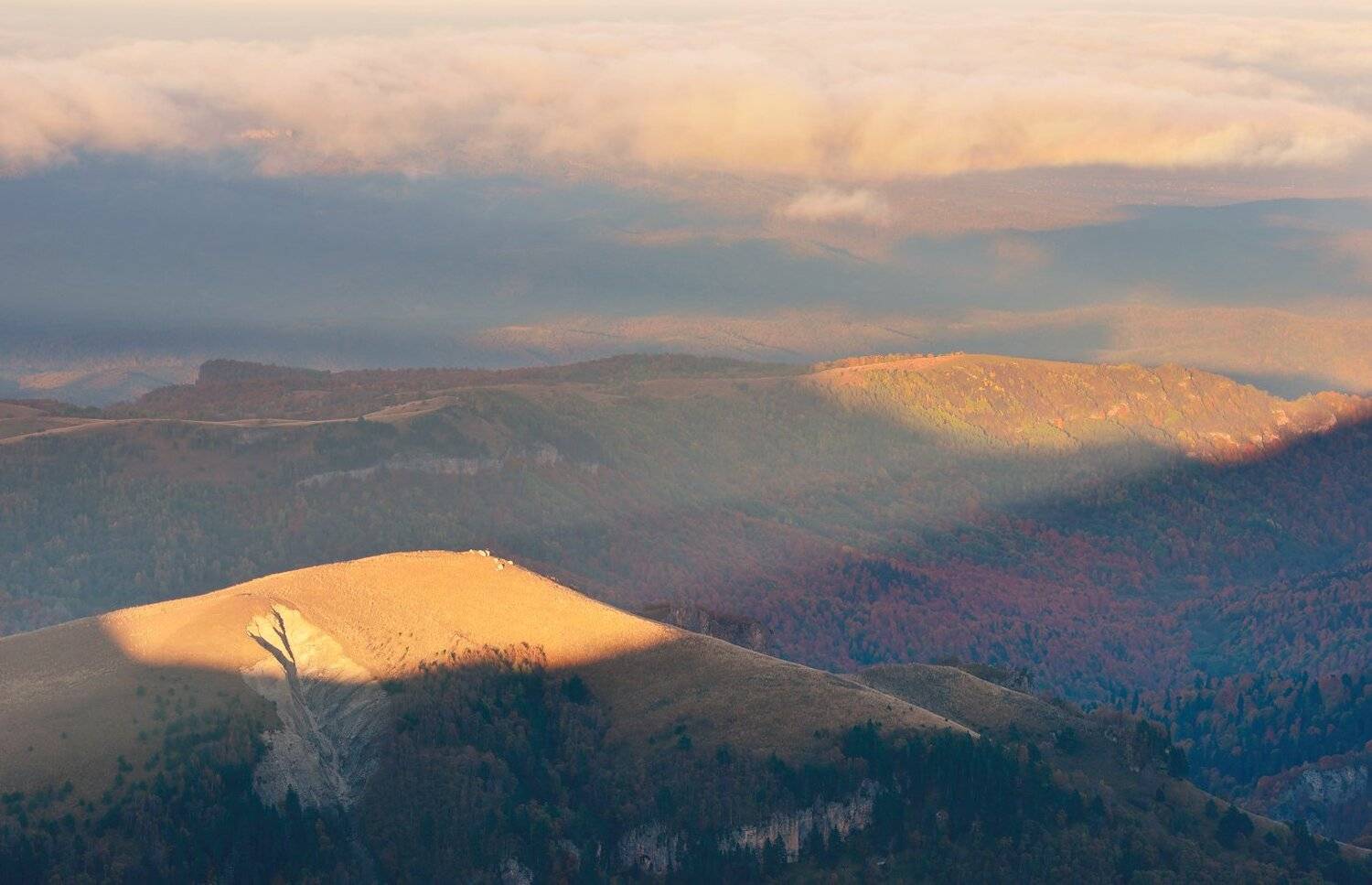 , Максим Евдокимов