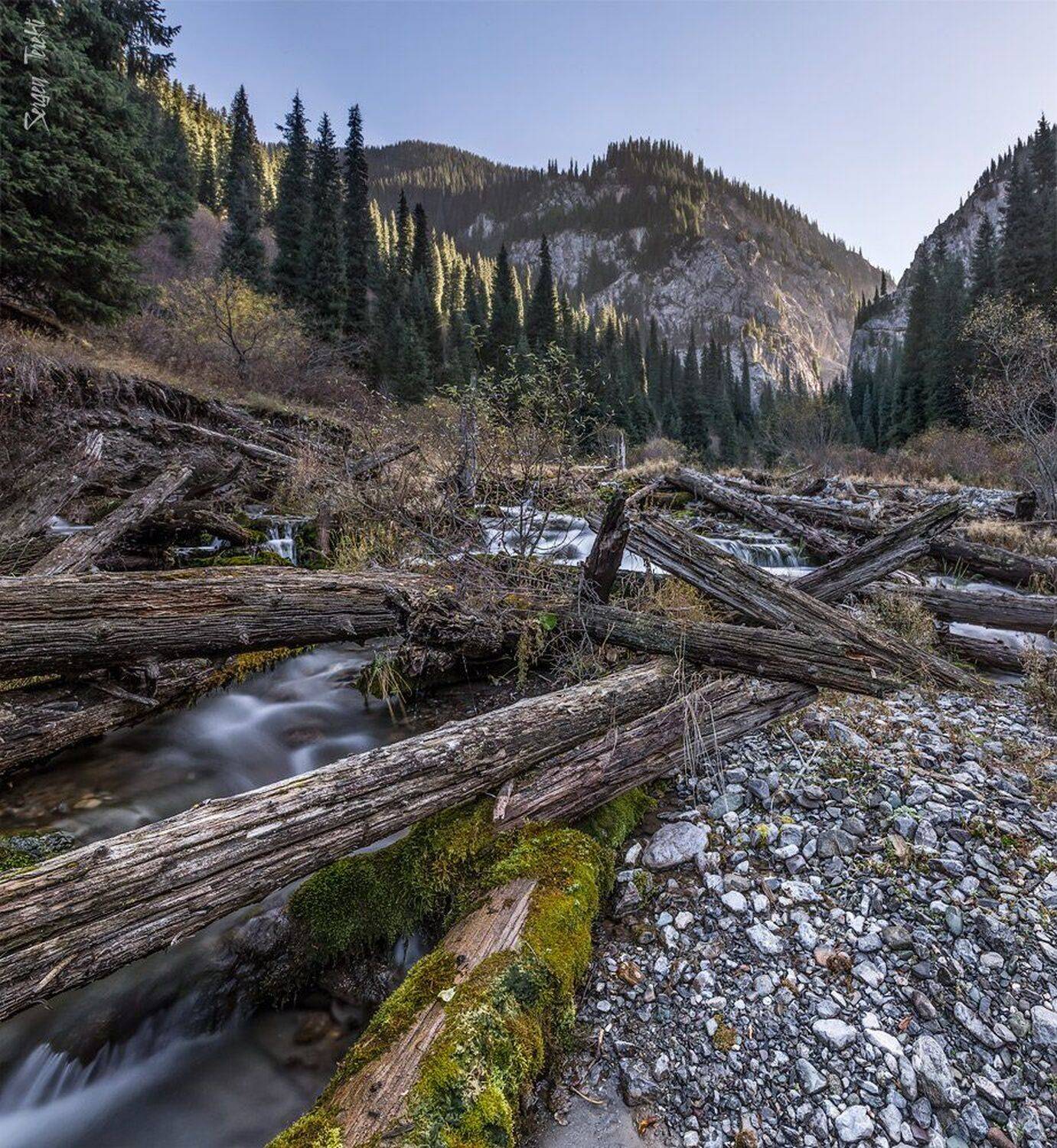 , Сергей Теректі