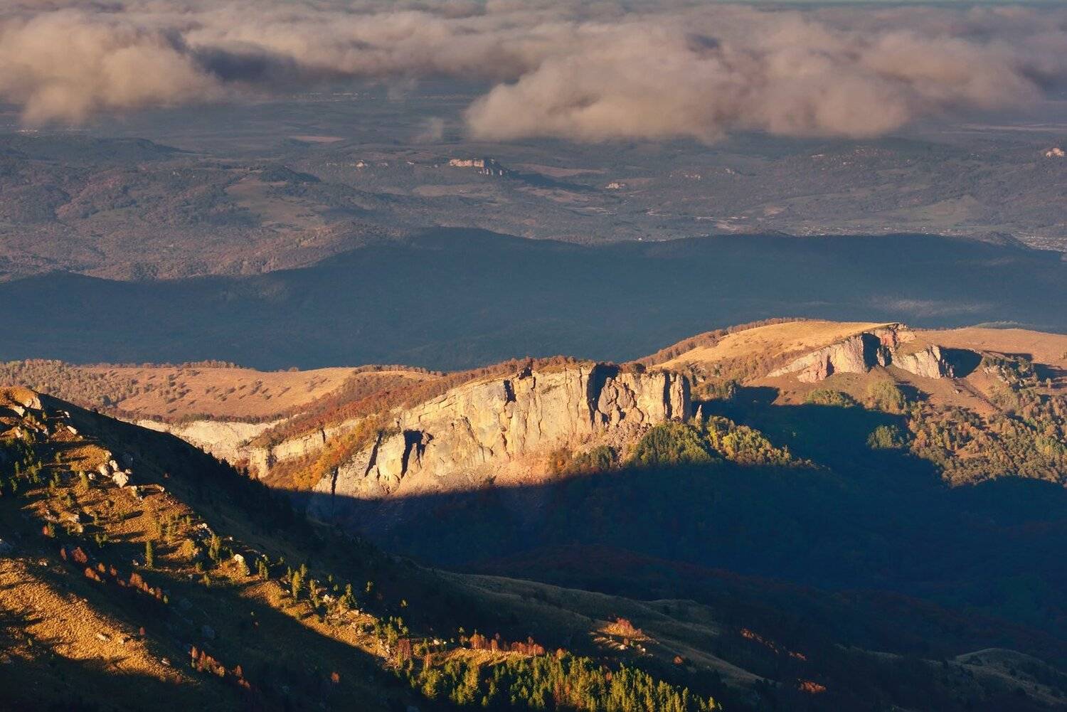 , Максим Евдокимов