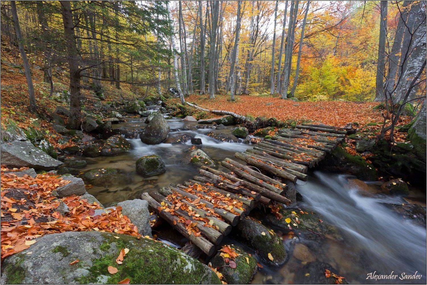 , Александър Сандев