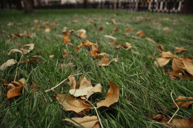 Осенние открытки фото превью