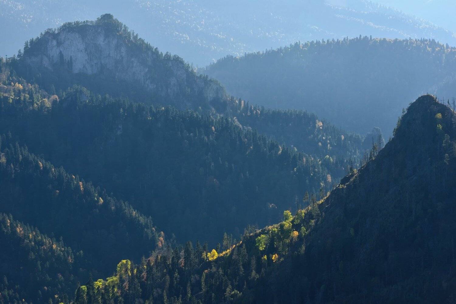 , Максим Евдокимов