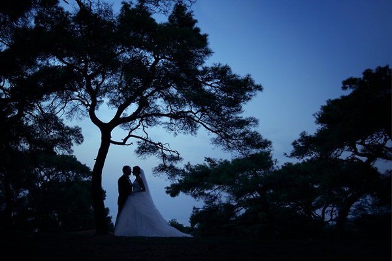 the last night фото превью