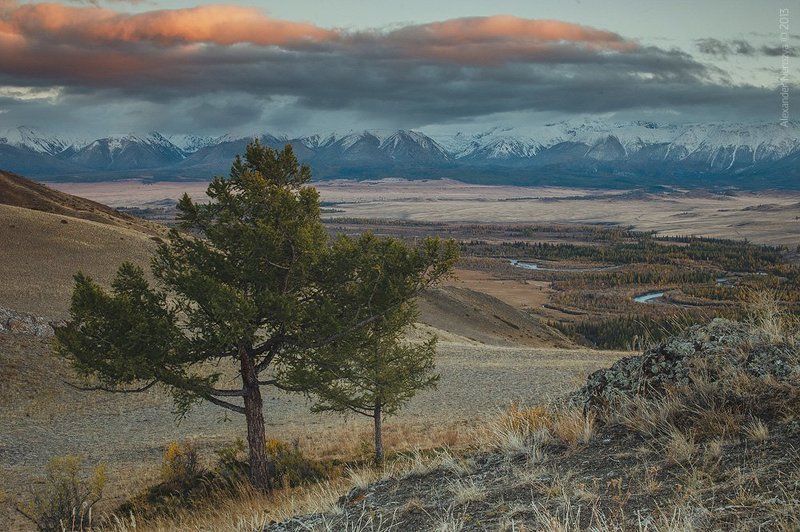 Просторы Алтая фото превью
