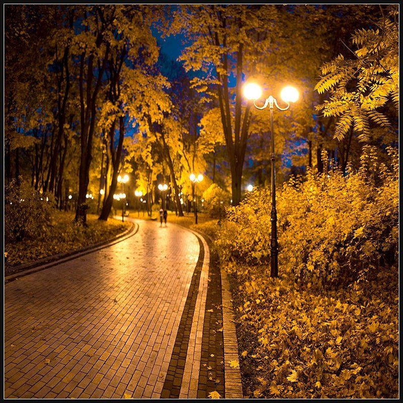 Ноябрь... Листопад... фото превью