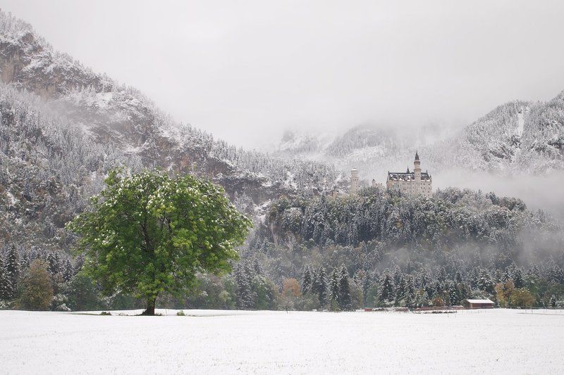 Neuschwanstein castle фото превью