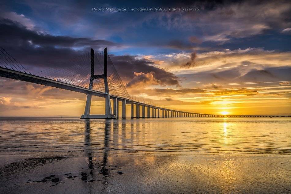 , Paulo Mendon&ccedil;a