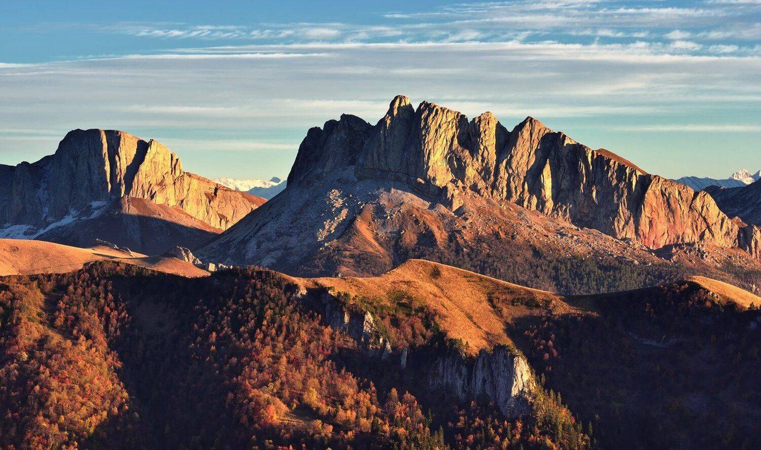 , Максим Евдокимов