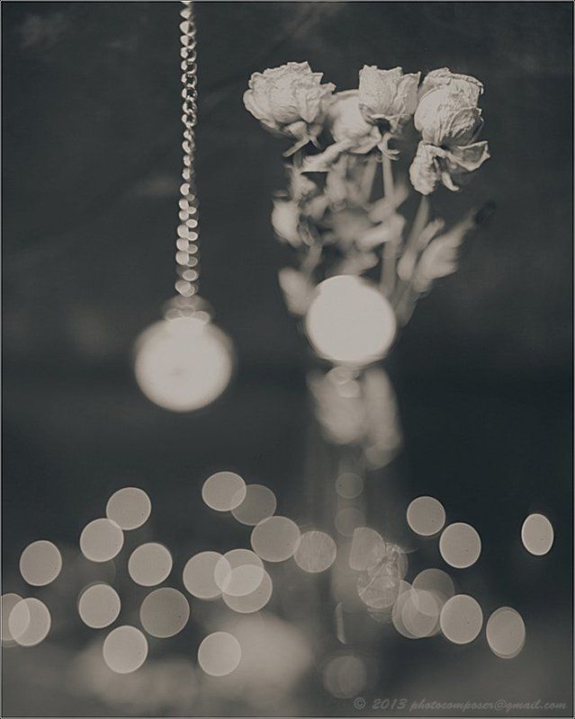 Age (Bokeh Study #5) фото превью