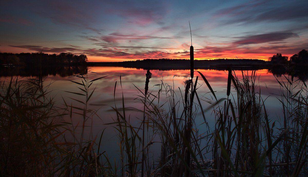 купавна., бисерово., Андрей Леонидович