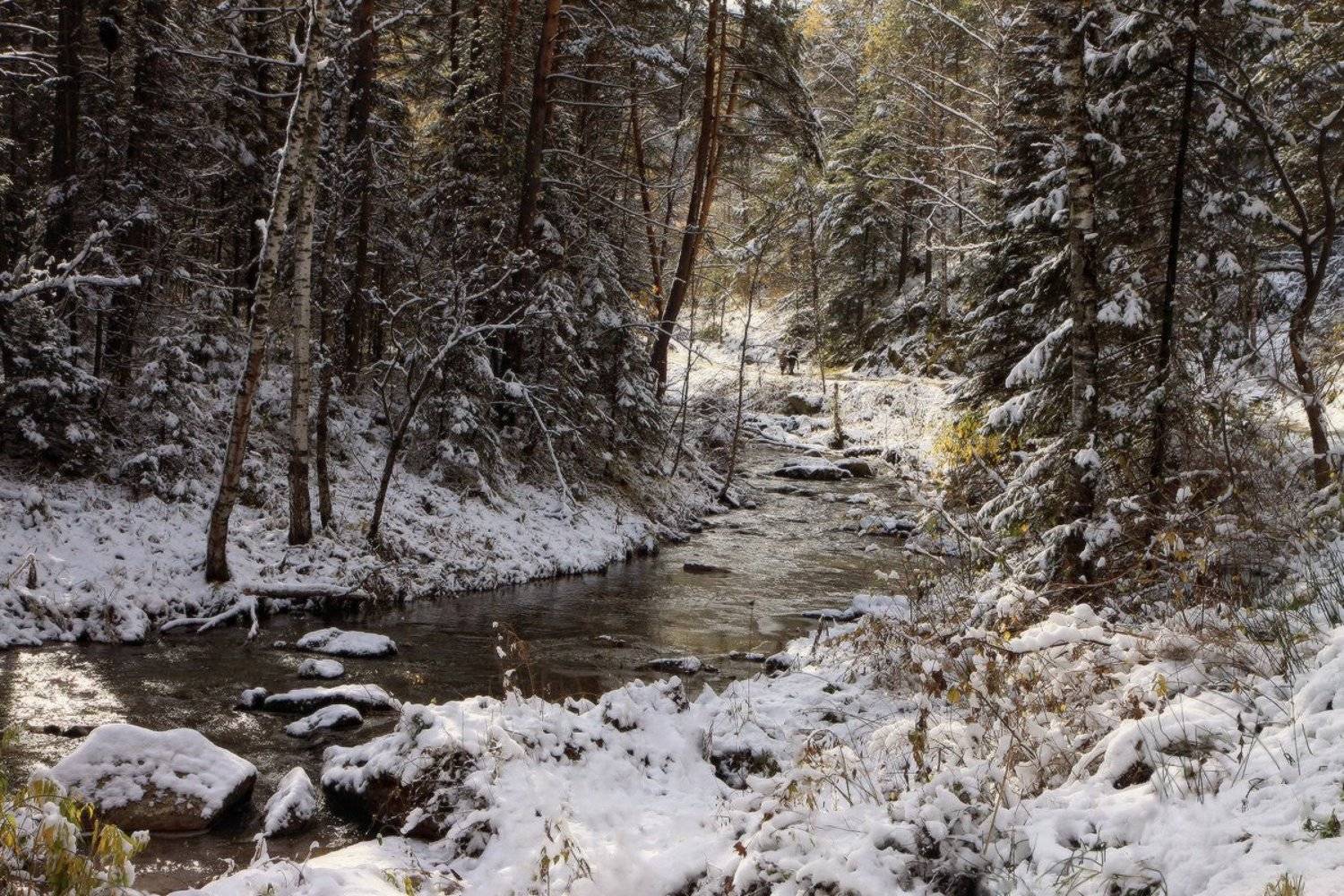 алтай, белокуриха, осень, снег, Галина Хвостенко