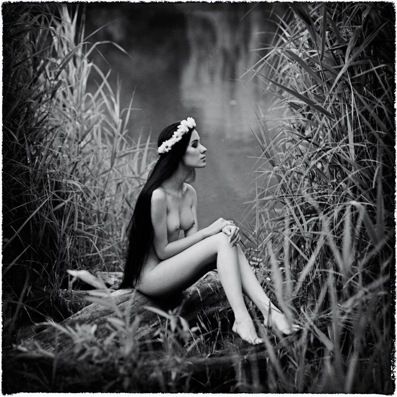 *** фото превью